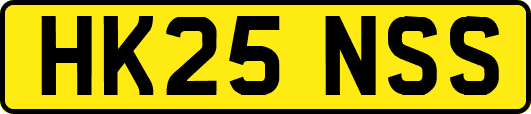 HK25NSS