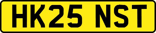 HK25NST