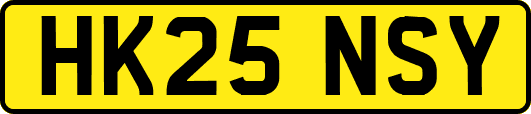 HK25NSY
