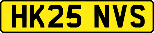 HK25NVS