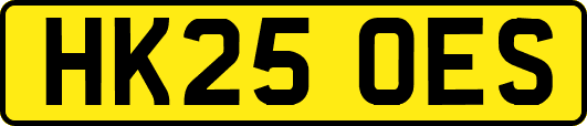 HK25OES