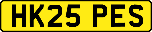 HK25PES