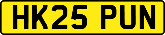 HK25PUN
