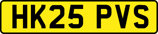 HK25PVS