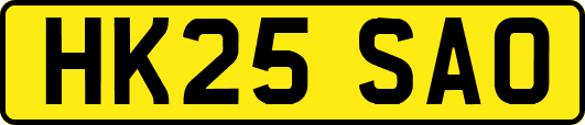 HK25SAO