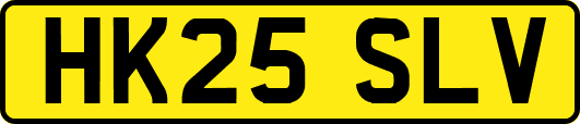 HK25SLV