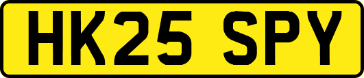 HK25SPY