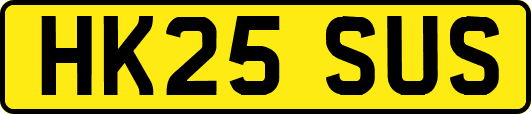 HK25SUS