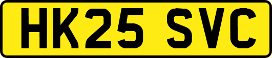 HK25SVC