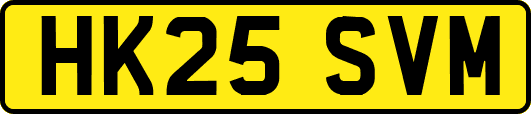HK25SVM