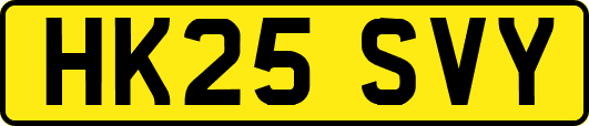 HK25SVY