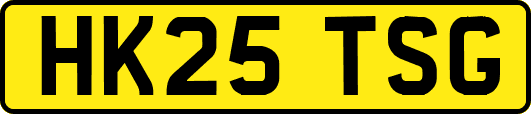 HK25TSG