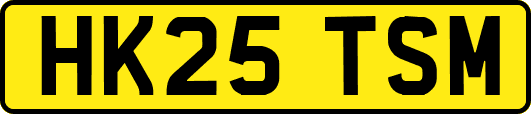 HK25TSM