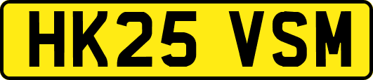 HK25VSM