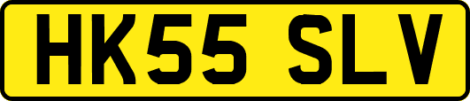 HK55SLV
