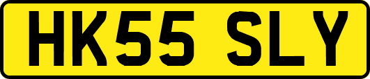 HK55SLY