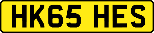 HK65HES