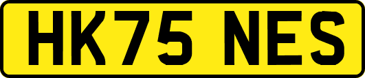 HK75NES