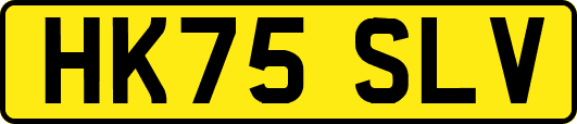 HK75SLV