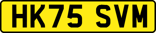 HK75SVM