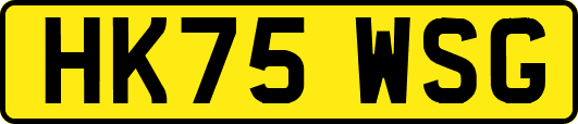 HK75WSG