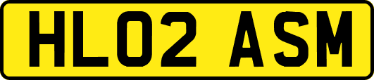 HL02ASM