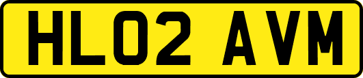 HL02AVM