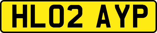 HL02AYP