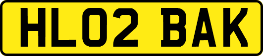HL02BAK