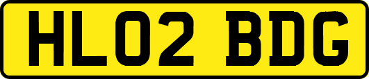 HL02BDG