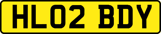 HL02BDY
