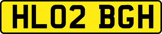 HL02BGH