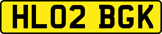 HL02BGK