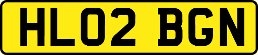 HL02BGN