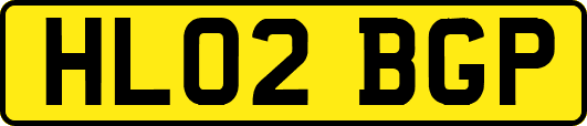 HL02BGP