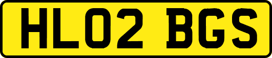 HL02BGS