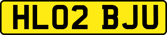 HL02BJU