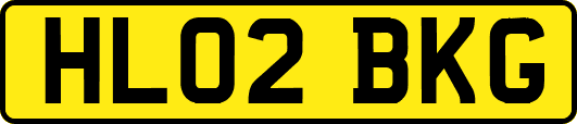 HL02BKG