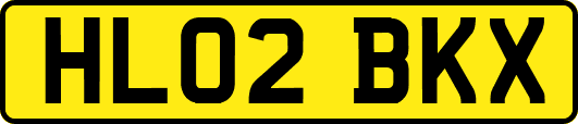 HL02BKX