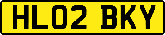 HL02BKY