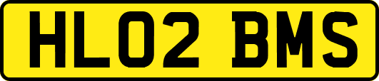 HL02BMS