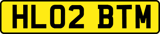 HL02BTM