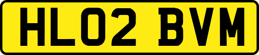 HL02BVM