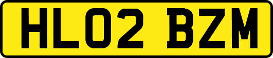 HL02BZM