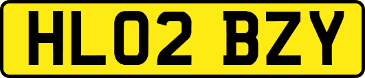 HL02BZY