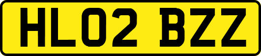 HL02BZZ