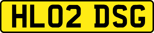 HL02DSG