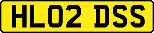 HL02DSS