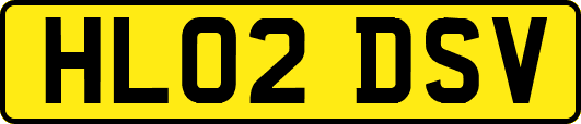 HL02DSV