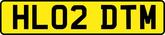 HL02DTM